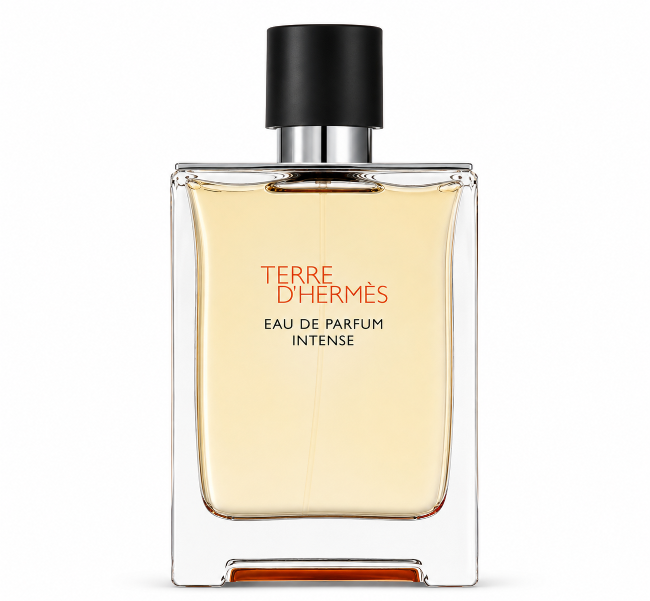 Hermes Terre D'hermes EDP Intense 100 ml