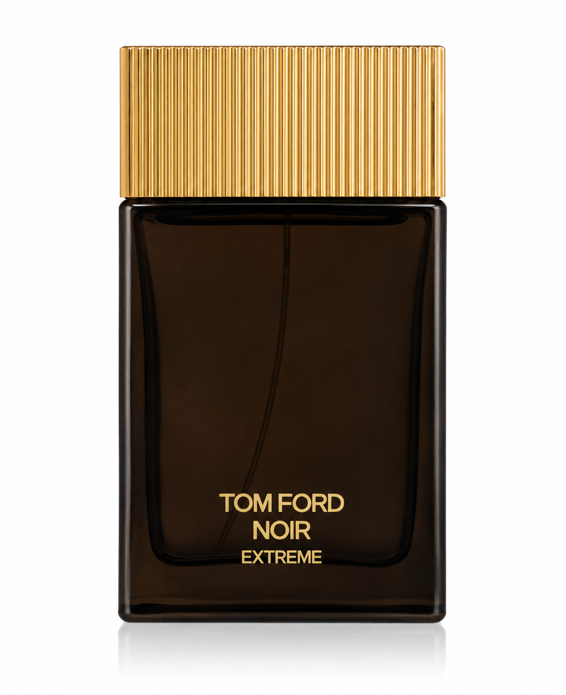Tom Ford Noir Extreme Eau de Parfum 100ml