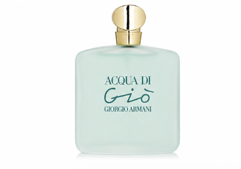 Giorgio Armani Acqua Di Gio Eau de Toilette 100 ml