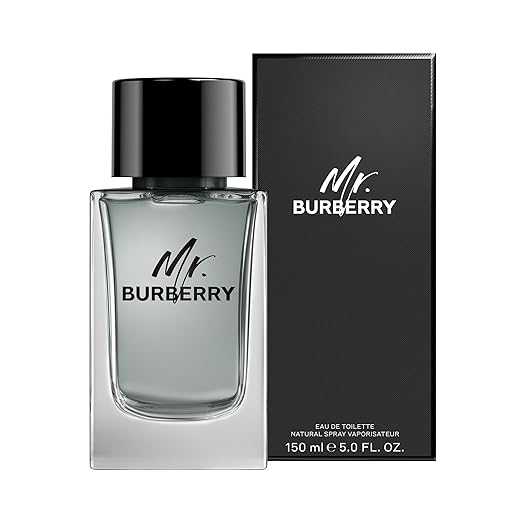 MR BURBERRY EDT 100ml 3.3