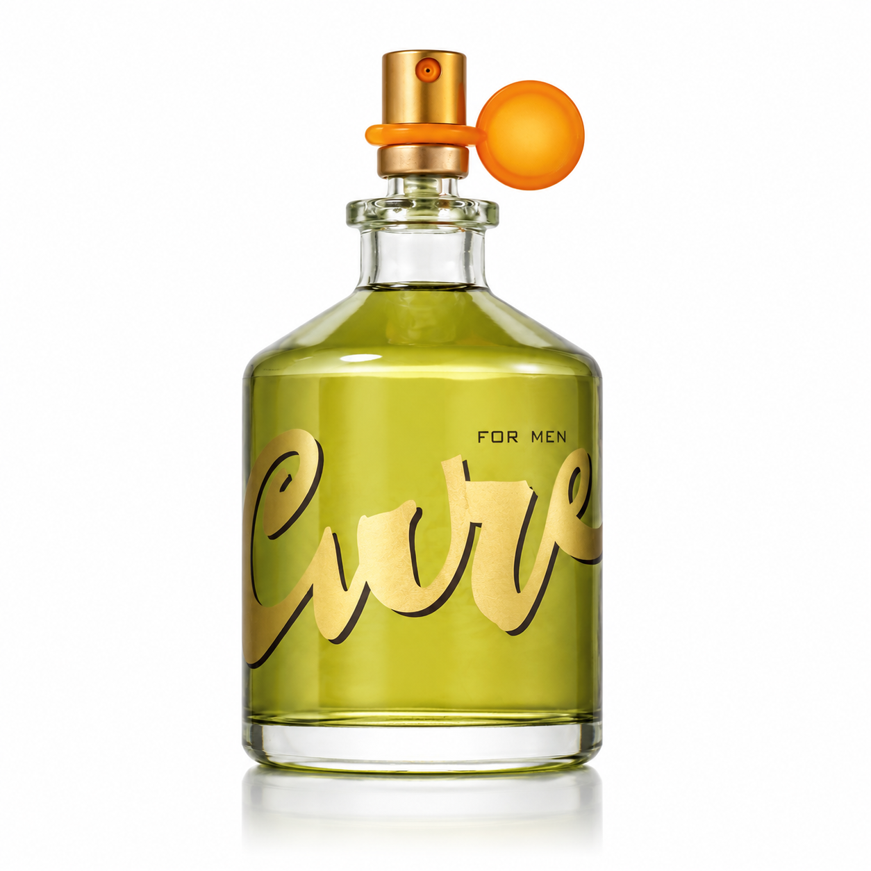Curve For Men pour Homme EDT 125 ml