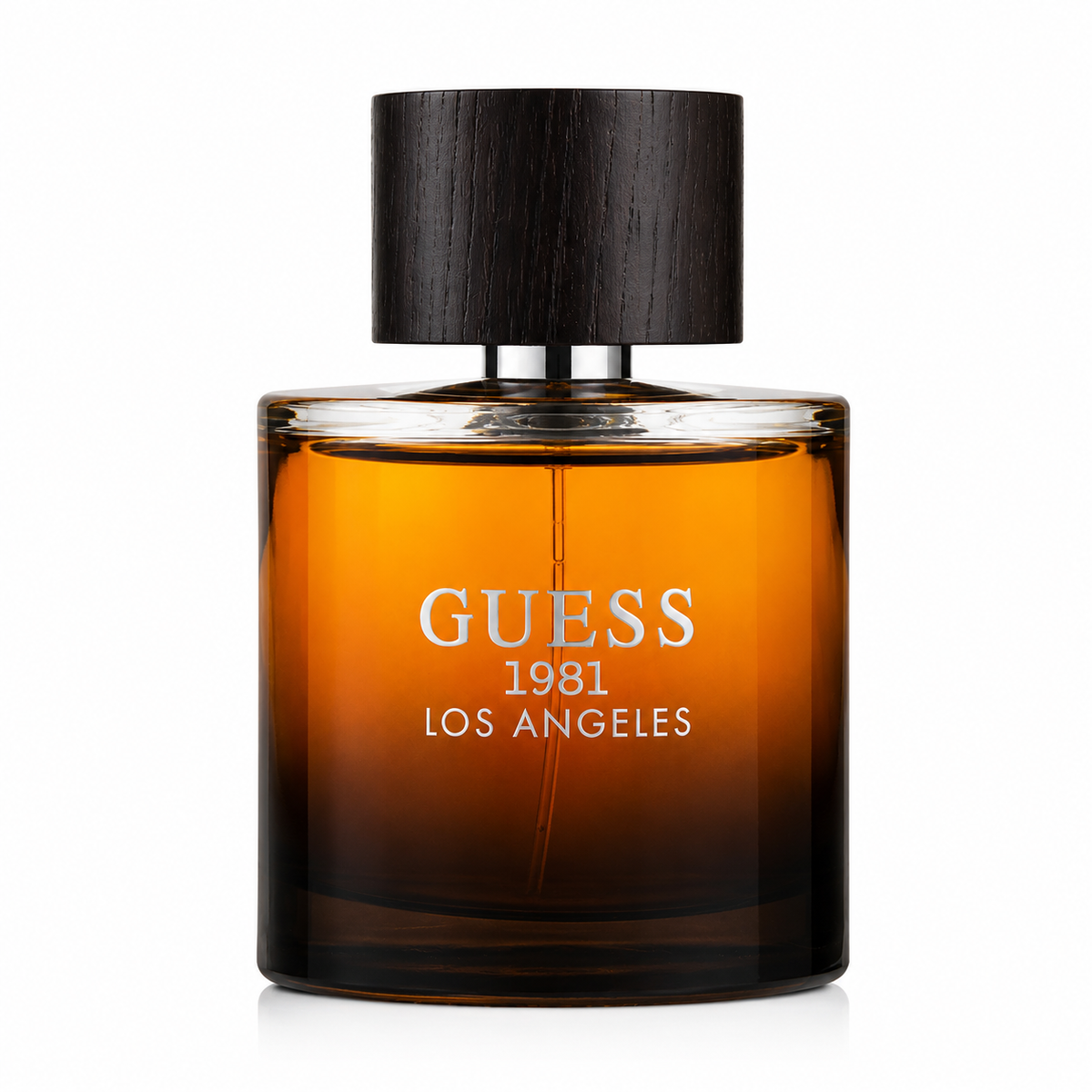 Guess 1981 Los Angeles Pour Homme EDT 100 ml