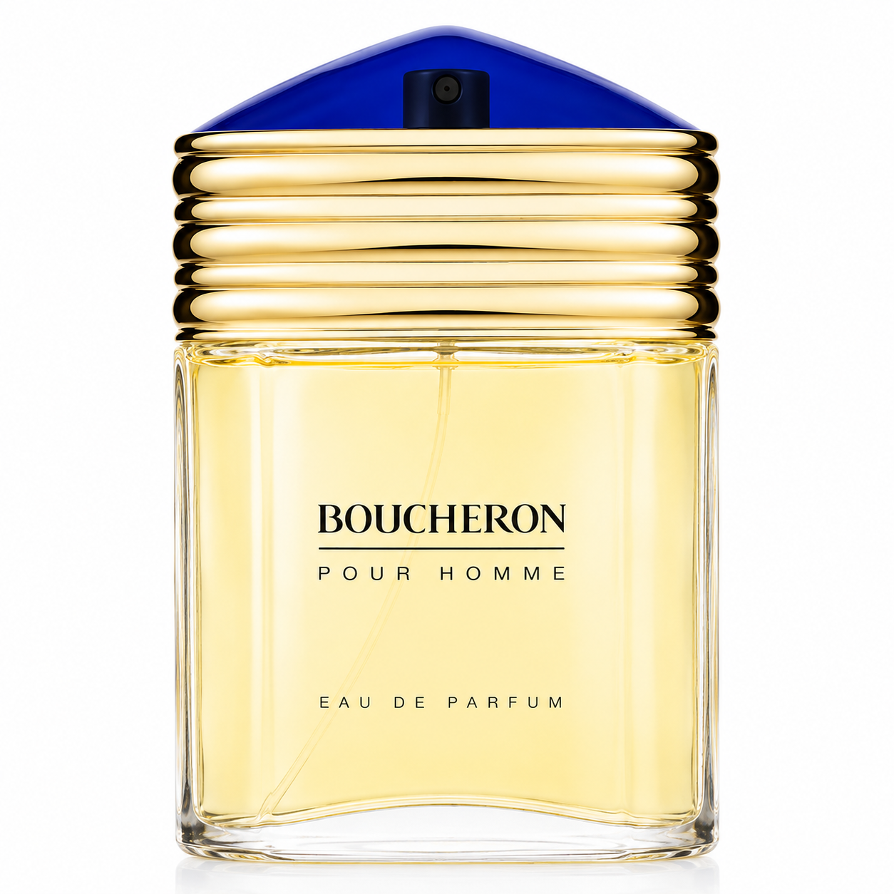 Boucheron Pour Homme EDP 100 ml