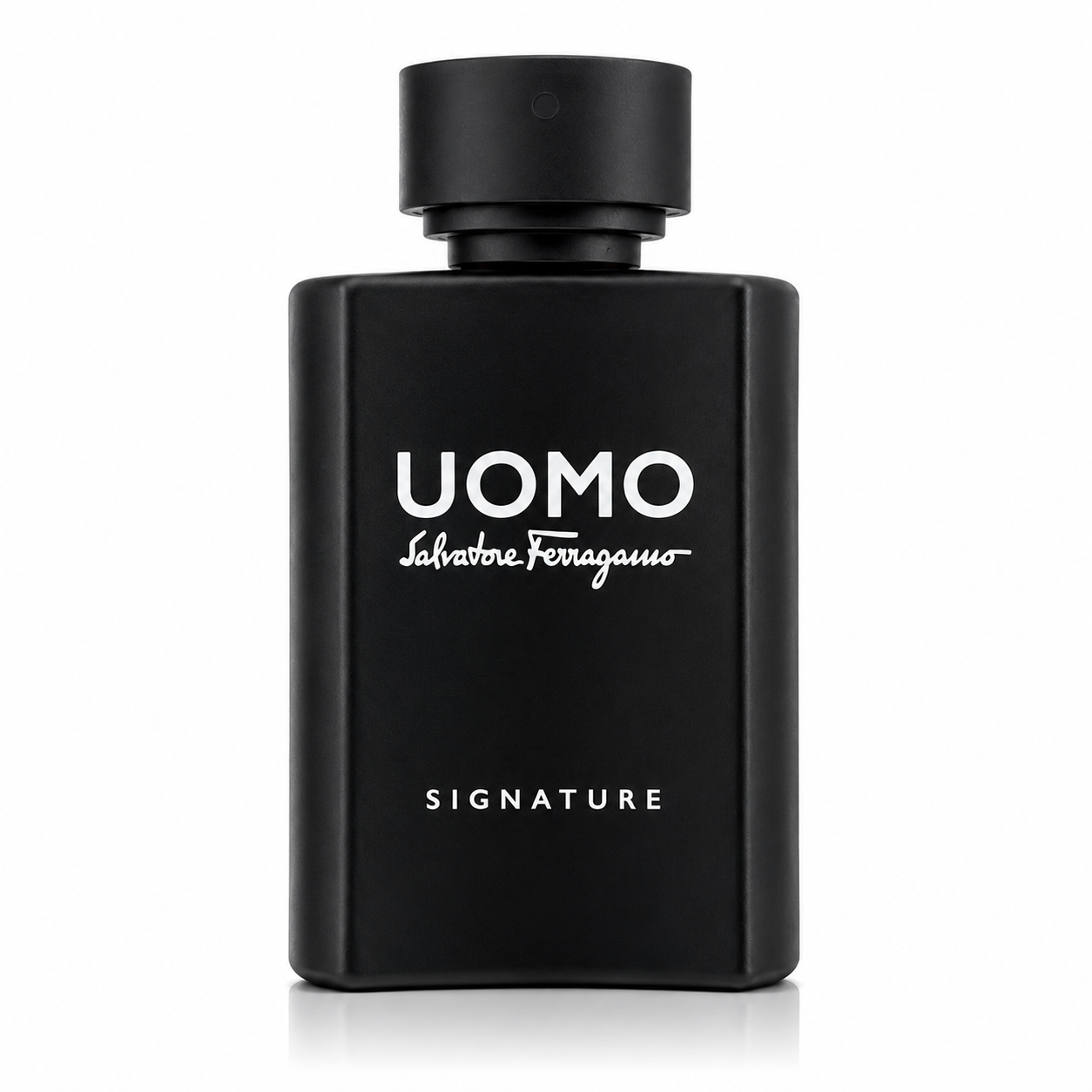 Salvatore Ferragamo Uomo Ferragamo Signature EDP 100 ml