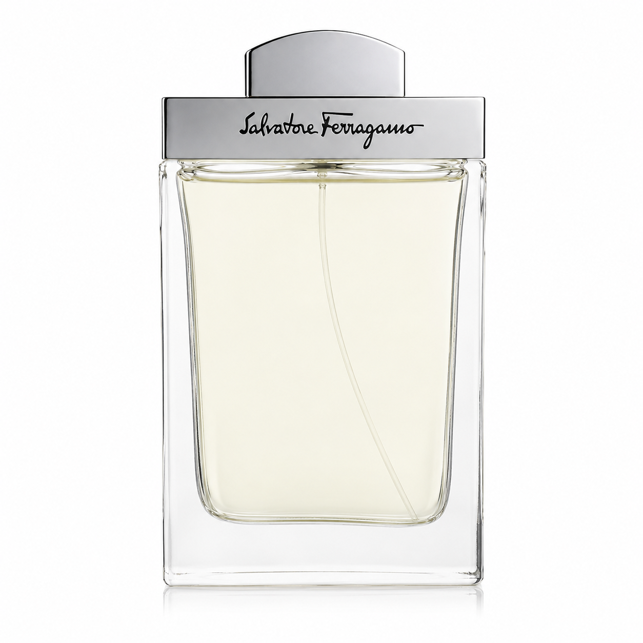 Salvatore Ferragamo pour Homme EDT 100 ml